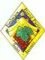 insigne de la Fondation